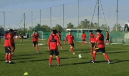 最新外国足球爆料视频,最新外国足球爆料视频，内幕大曝光！